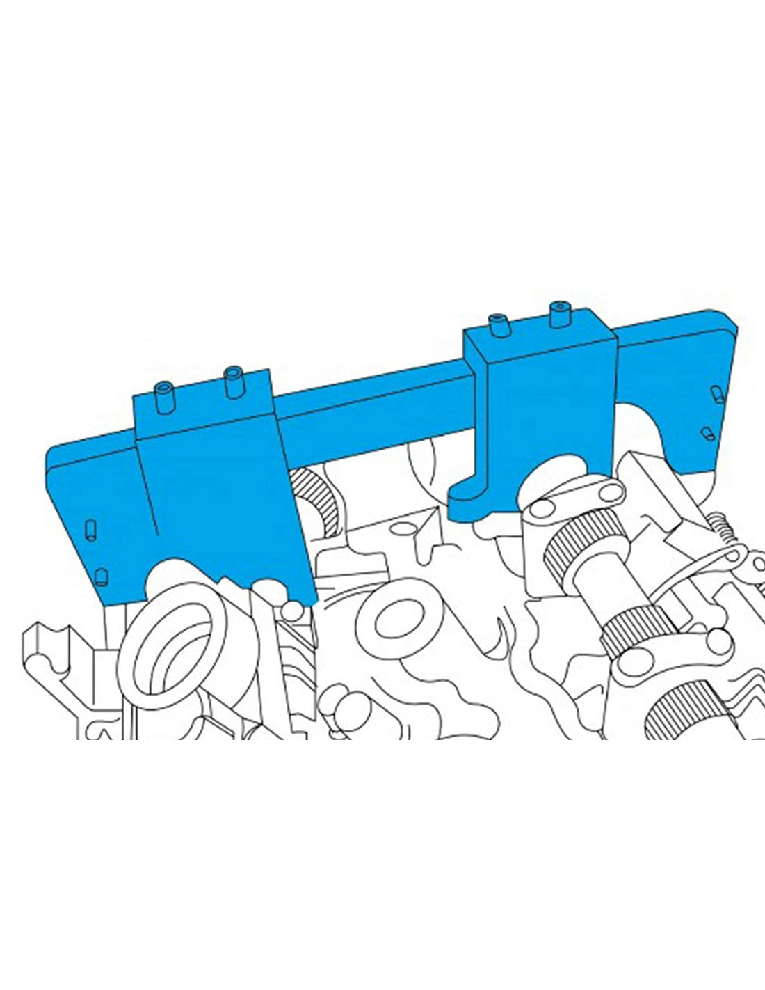 Puesta a punto BMW N51 N52 N53 N54 N55 VANOS.